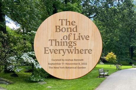 The Bond of Live Things