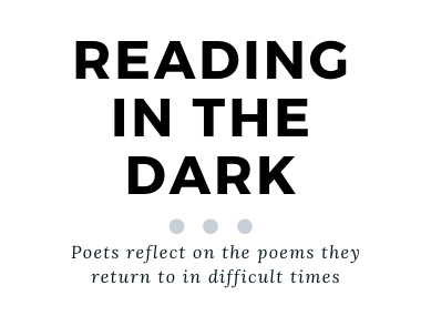 Logo for the Reading in the Dark series. Black text on a white background.