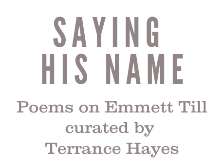 the last quatrain of the ballad of emmett till