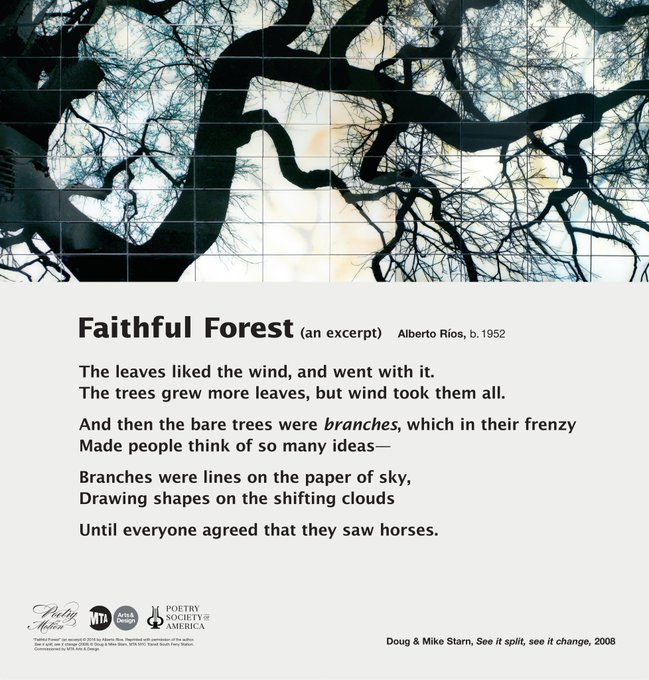 A poster featuring art by Doug and Mike Starn shows black tree branches splayed against a white and pale-yellow sky. Below is an excerpt from the poem Faithful Forest by Alberto Ríos.