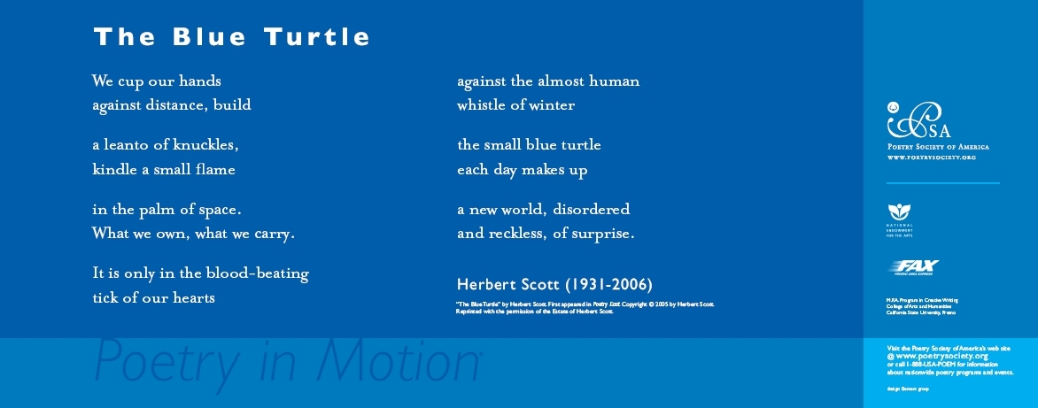 A two-toned blue poster features the poem, The Blue Turtle by Herbert Scott, written in white text.
