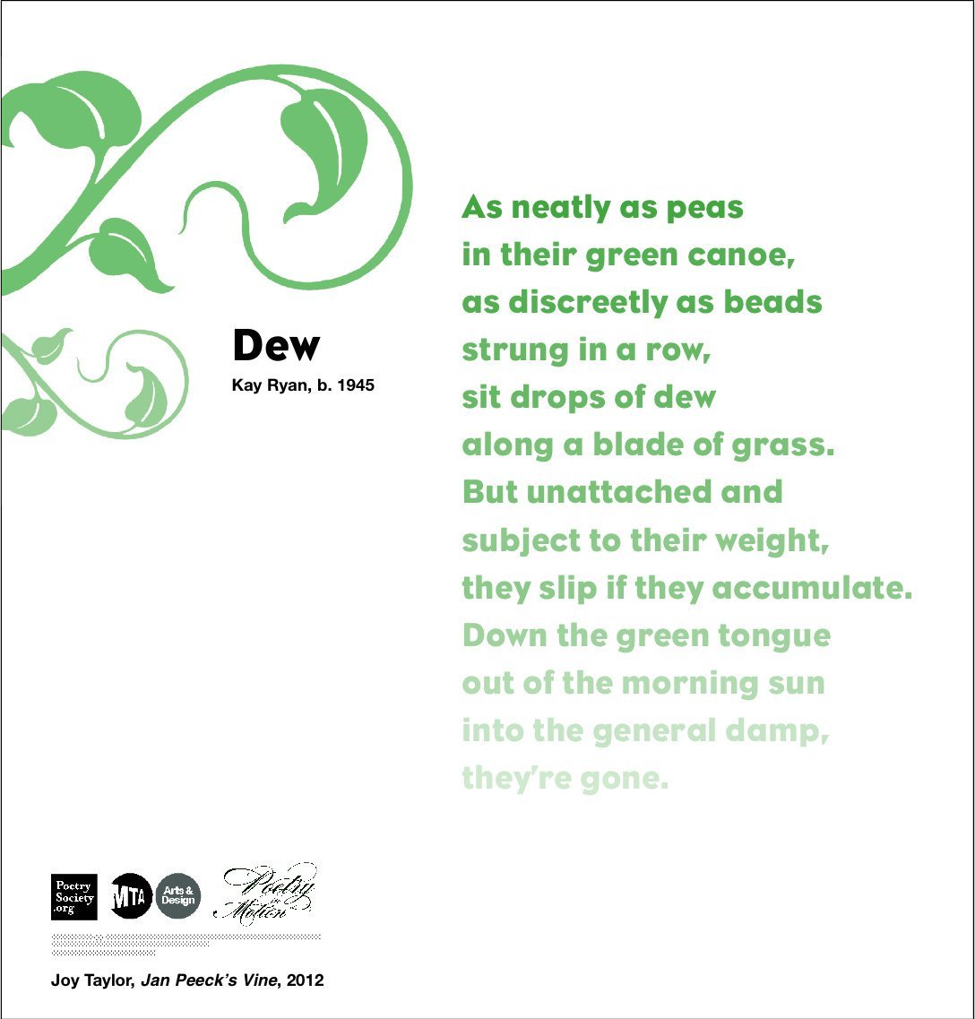 A White poster with a leafy green vine sprouting from the left side. To the right is a poem in green text titled Dew, by Kay Ryan.