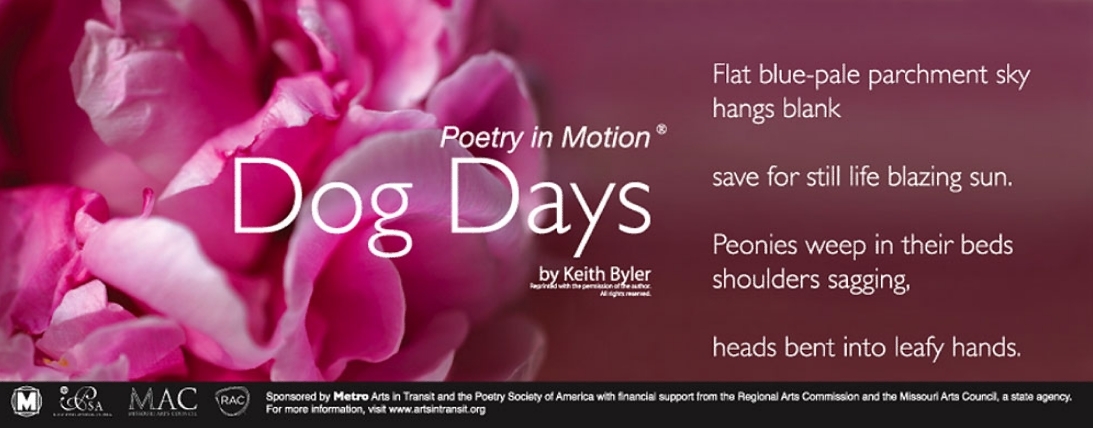 A maroon poster depicts a close up of pink flower petals. The poem, Dog Days by Keith Byler is written in white text.