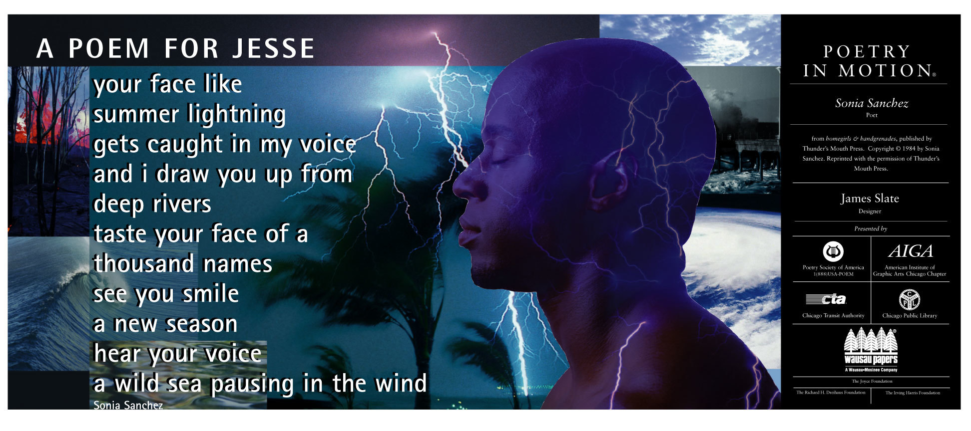 A poster is decorated with scenes of trees, bodies of water, lightning, and clouds. The poem, A Poem for Jessie by Sonia Sanchez is written in white text beside the profile of a man.